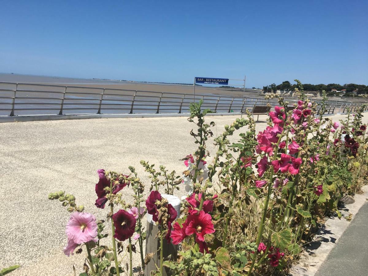Petit Nid A 50M De La Plage Au Coeur De フラ エクステリア 写真